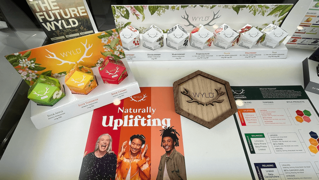 From Gummies to Chocolates: The Best Edibles for Pain Relief